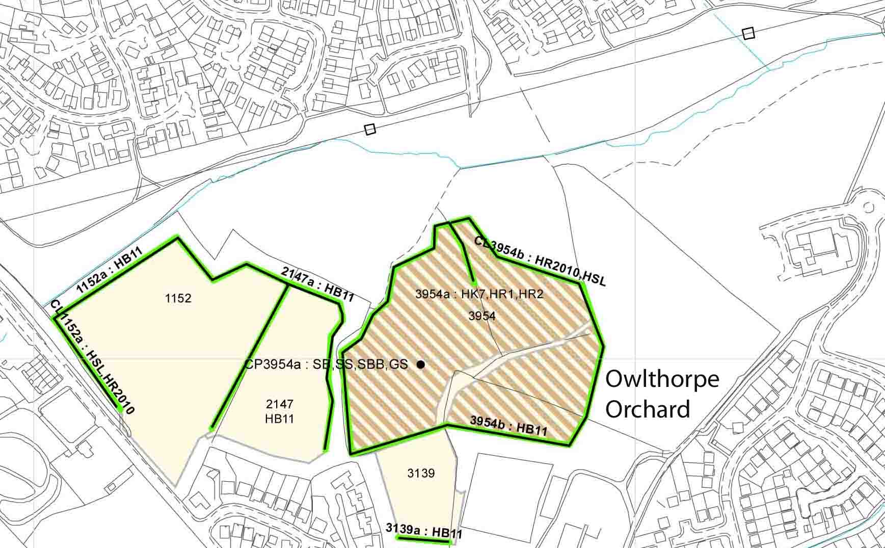 Orchard